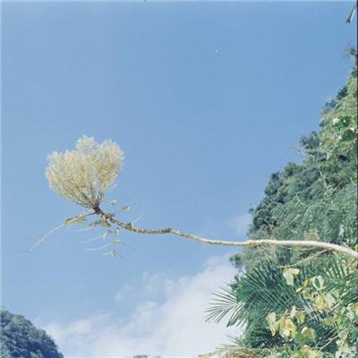 锻造幻想手游官方版下载